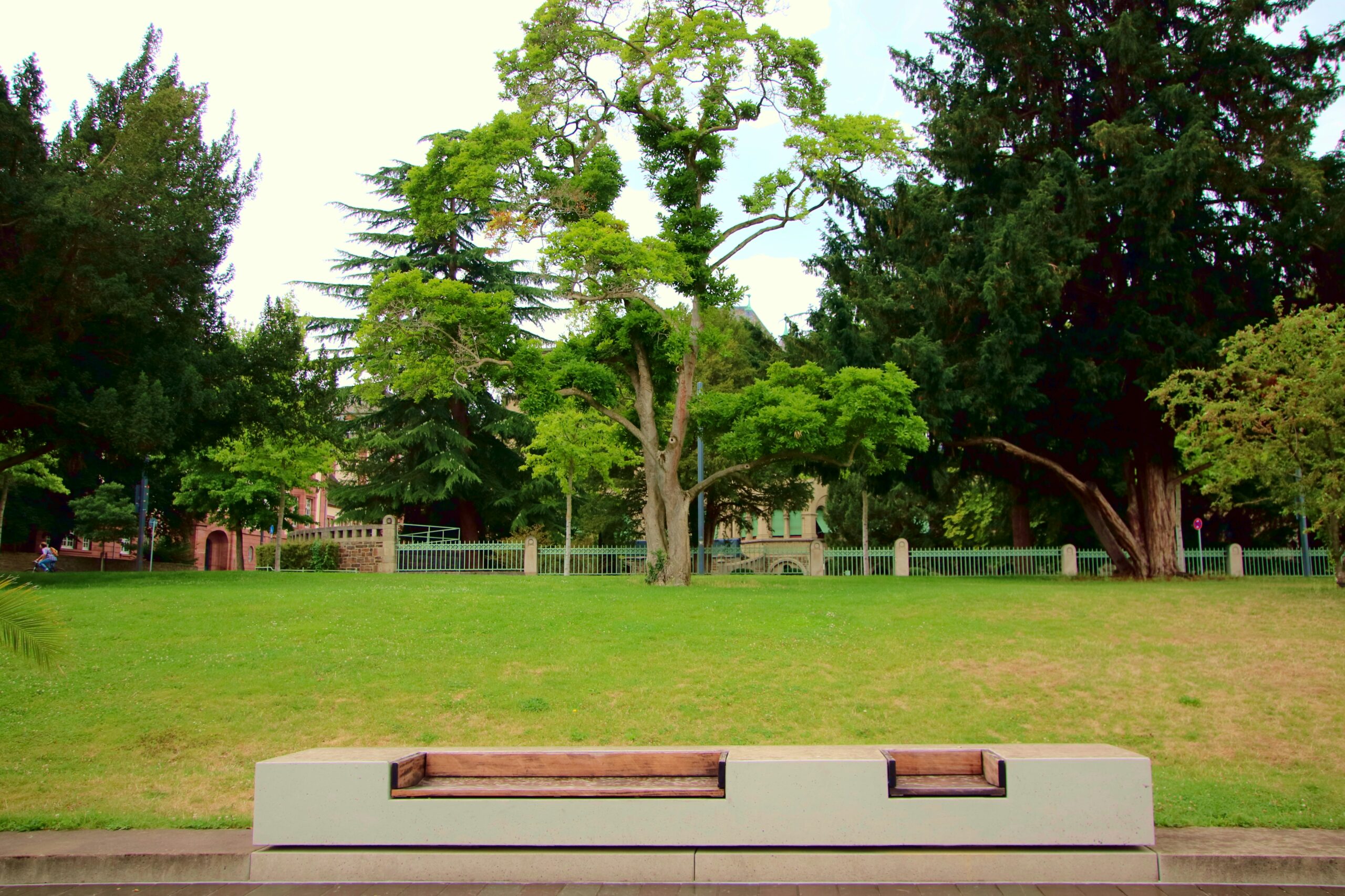 Wooden bench situated in a lush green park, surrounded by vibrant grass and tall trees, offering a peaceful spot for relaxation.